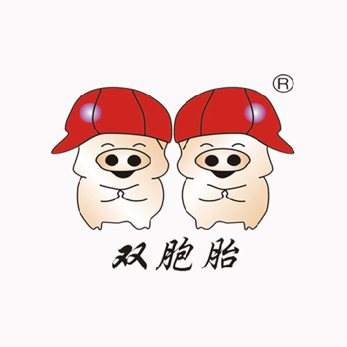 双胞胎